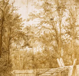 Árvores atrás de uma cerca de madeira, c. 1638-1642